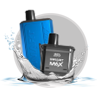 IVG SMART MAX